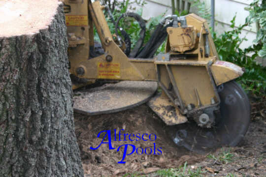 Tree_Root_Grinding.jpg
