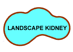 Landscape Kidney