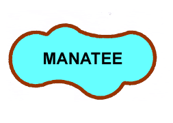 manatee